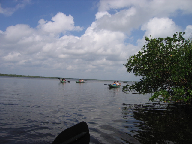IMG_7034.JPG