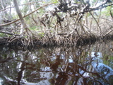 IMG_7064.JPG