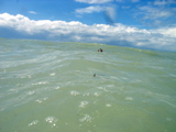 IMG_7091.JPG