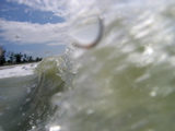 IMG_7106.JPG