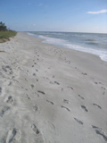 IMG_7120.JPG