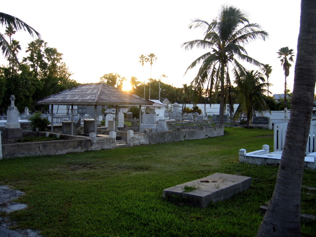 IMG_4168.JPG