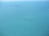 IMG_4225.JPG